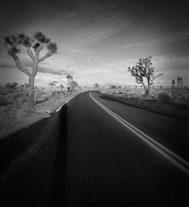 Chasing the Moon