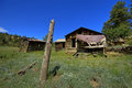Cabin in the Hills