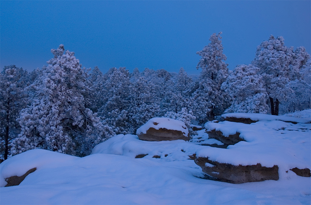 Fresh Snow