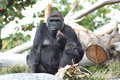 Mom & Infant