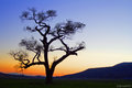 Tribal Sunset