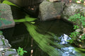 blur_0408.jpg