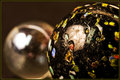 macro_8466.jpg
