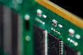 macro_8708.jpg
