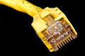 macro_8710.jpg