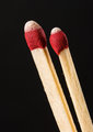 macro_8719.jpg