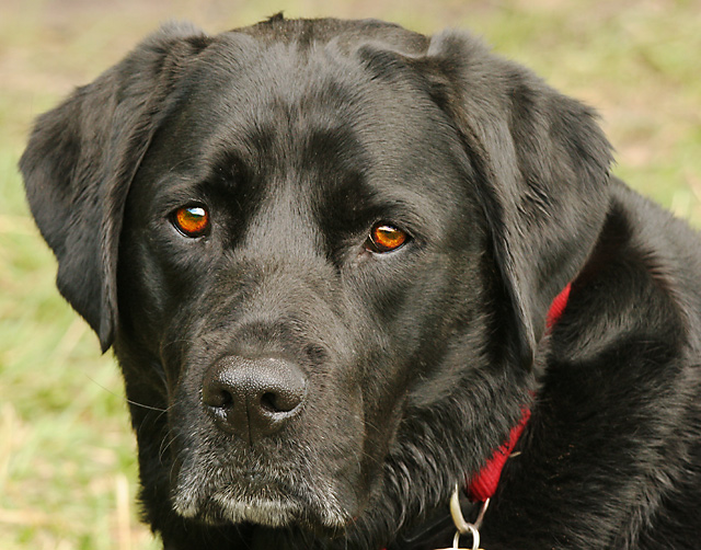 penni_0033.jpg