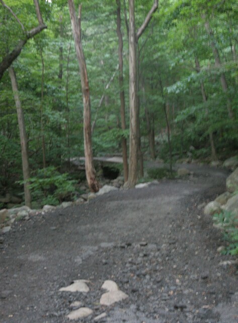 ramapo_0181.jpg
