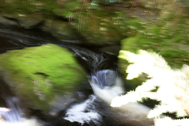 IMG_0307_640.jpg
