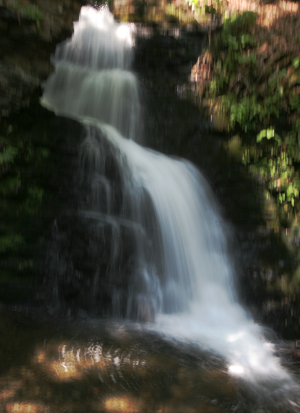 IMG_0350_600.jpg