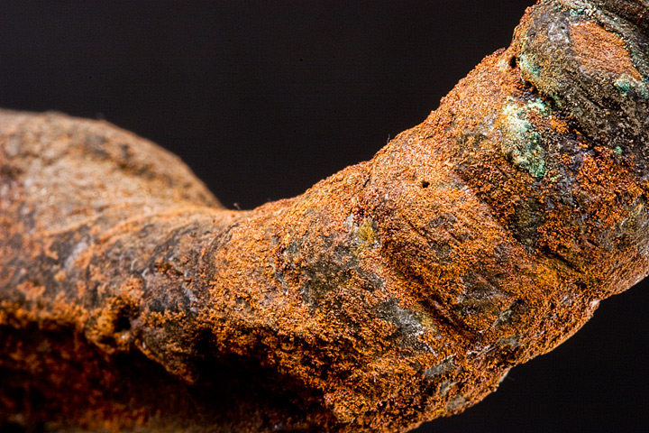 macro_8718.jpg
