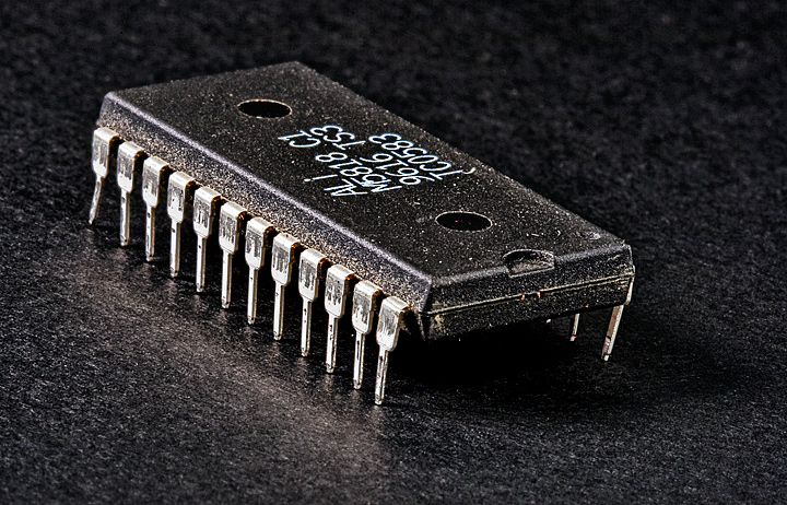 macro_8712.jpg