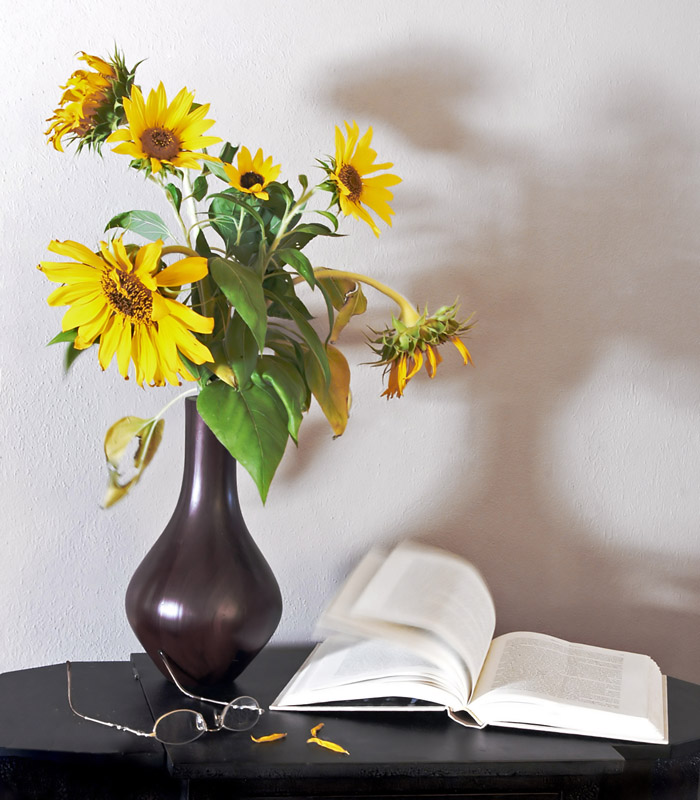 Still Life