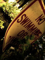 NO SWIMMING OR DIVING