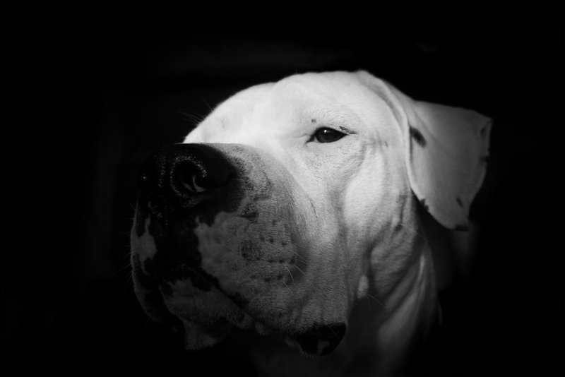 Quincy in the light