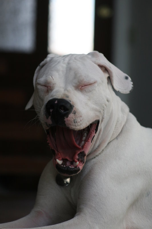 Sleepy head