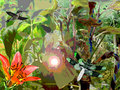 The Jungle.jpg