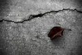 fractured
