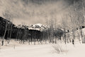 the mountaintop