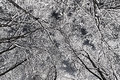 an abstract sky