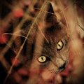 i see you there