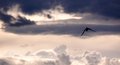 heavenward