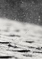 raindrops