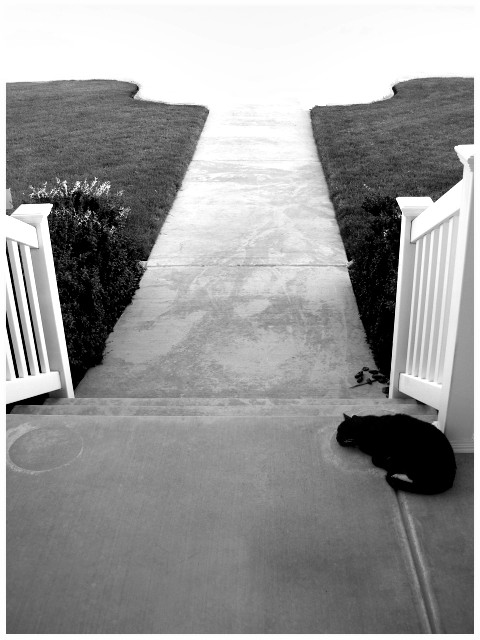 And Who Knows..Maybe The Journey Has Already Begun...