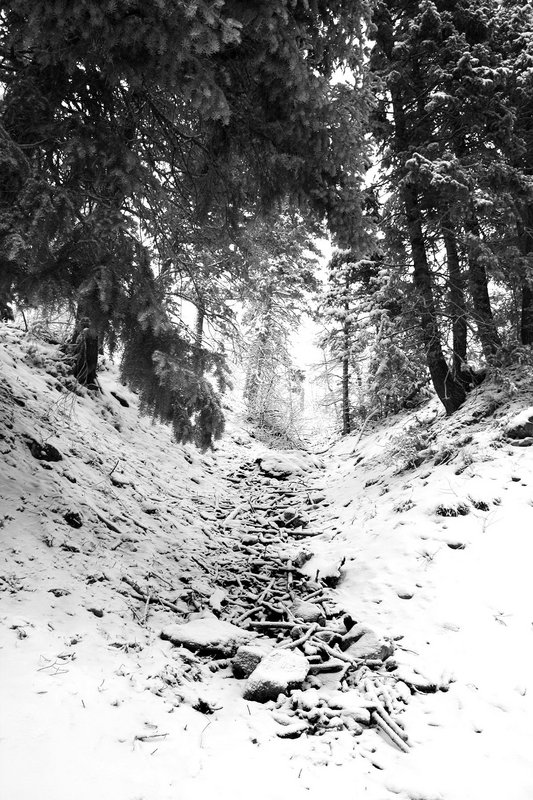 Even The Smallest of Trails Can Lead To The Biggest Of Adventures