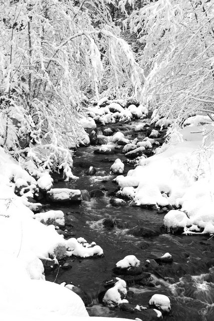 Creek