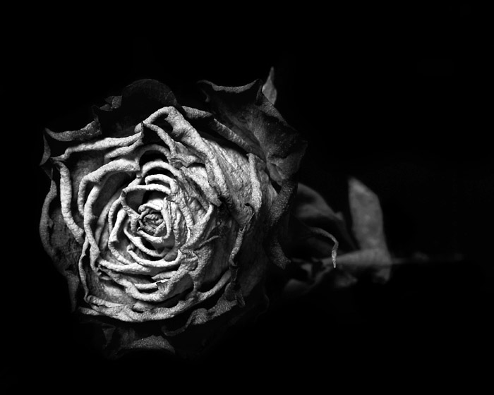 fragile