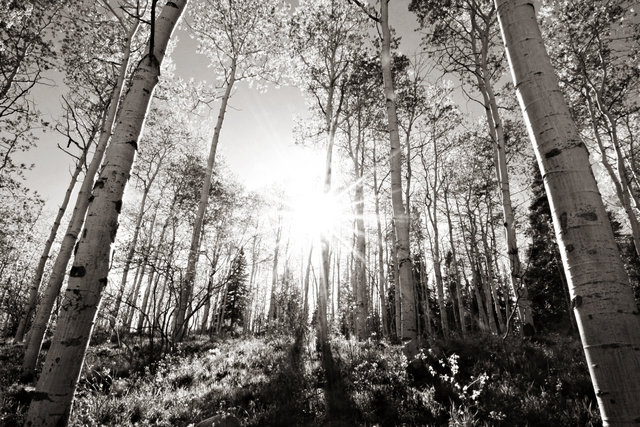heavens rays