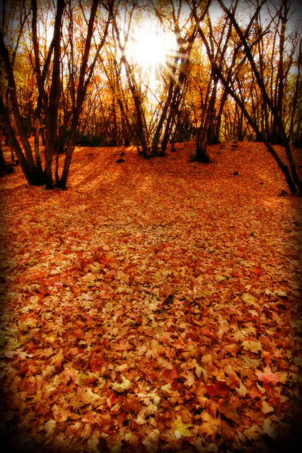octobers end