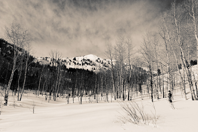 the mountaintop