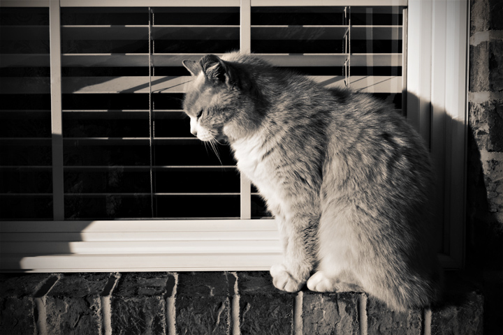 awaiting