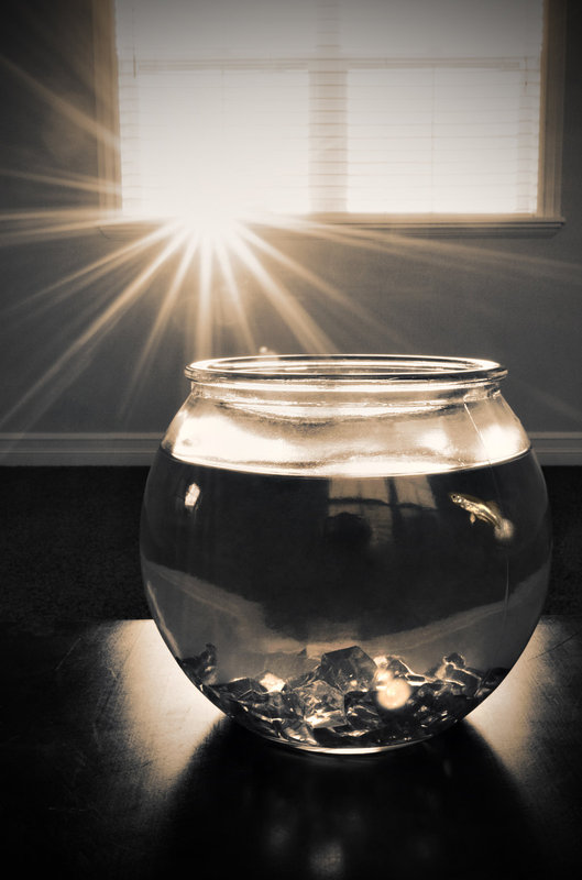 i'll wait for you, sunshine.