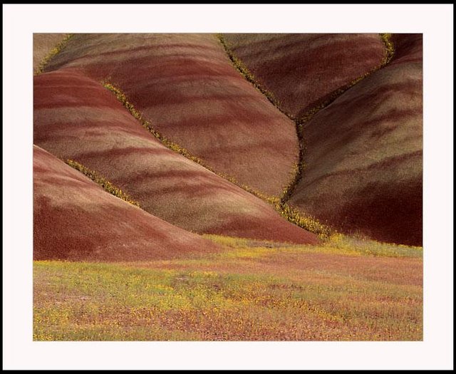 Painted Hills I