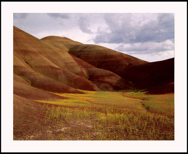 Painted Hills II