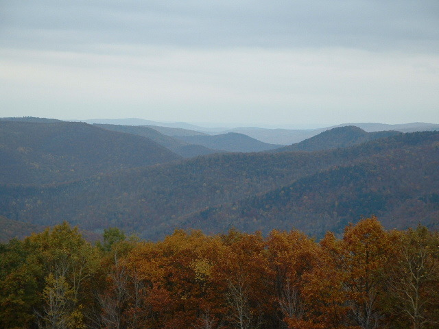 Orange, Red, Green, and Gold