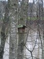 birdhouseres.jpg