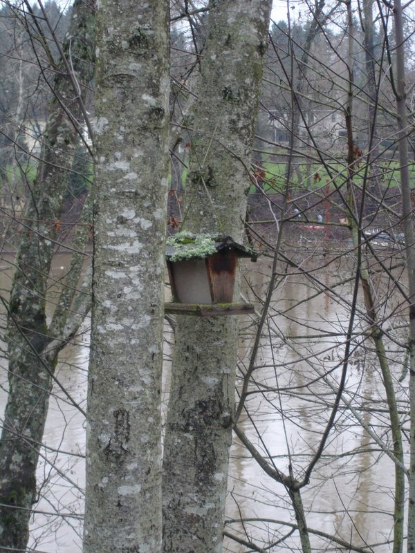birdhouseres.jpg