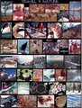 Vs Travel & Nature.jpg