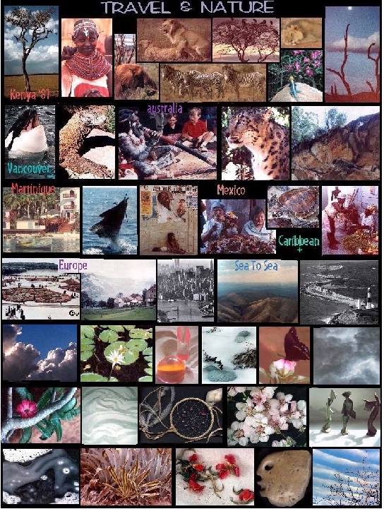 Vs Travel & Nature.jpg