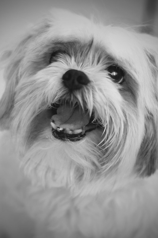 Ernie