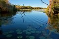 Tranquility on the surface