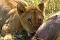 Lunch time