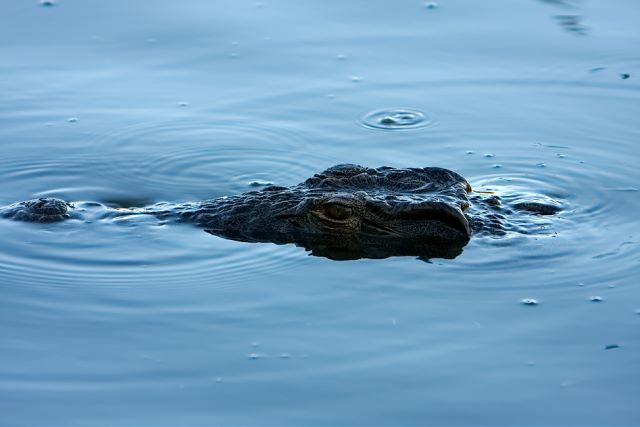 But beware below the surface