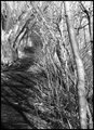 The Path East
