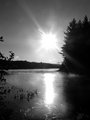 Algonquin Park