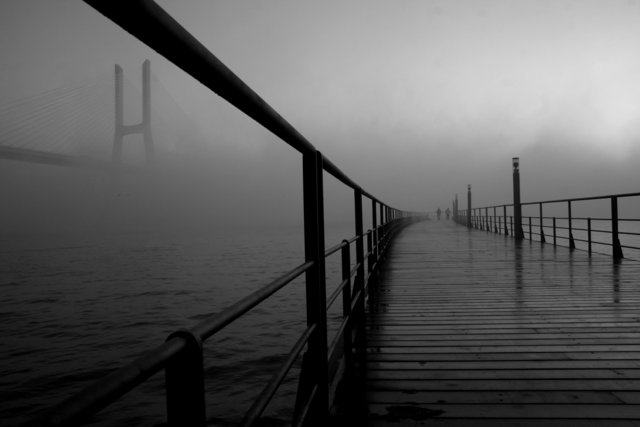 Foggy sunrise
